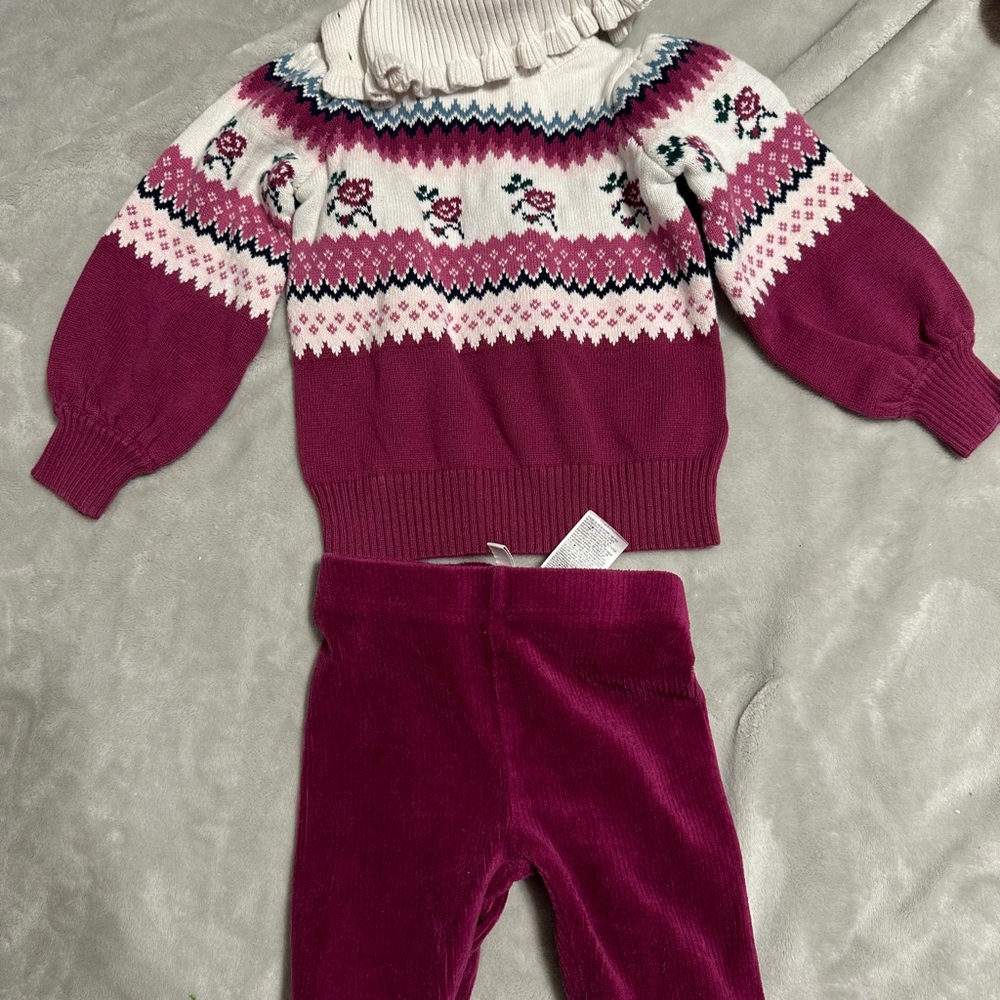 Adorable gently used Janie & Jack sweat set! 2T
